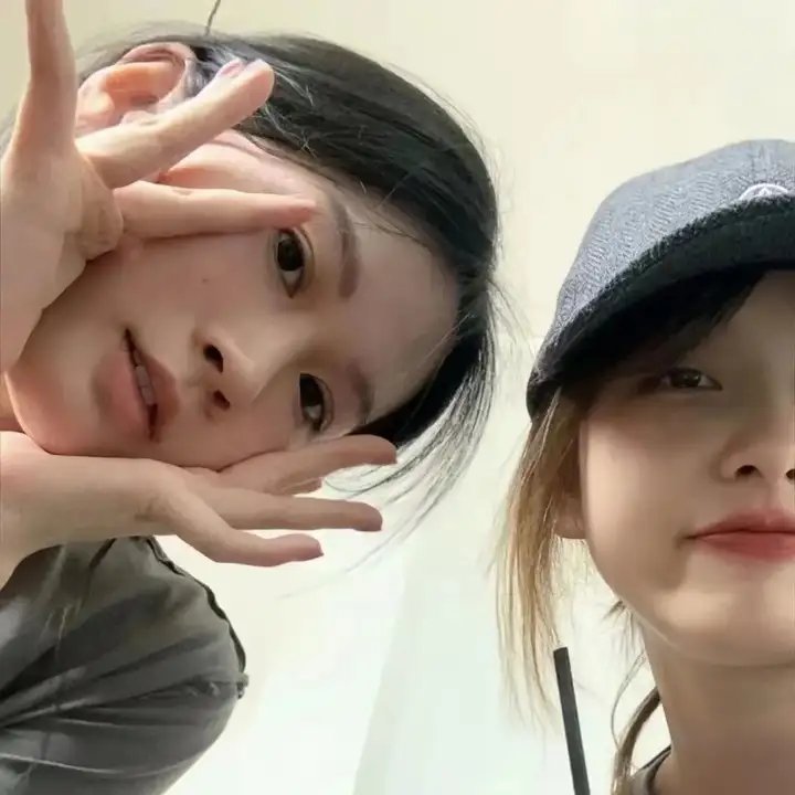 快乐的小鸡